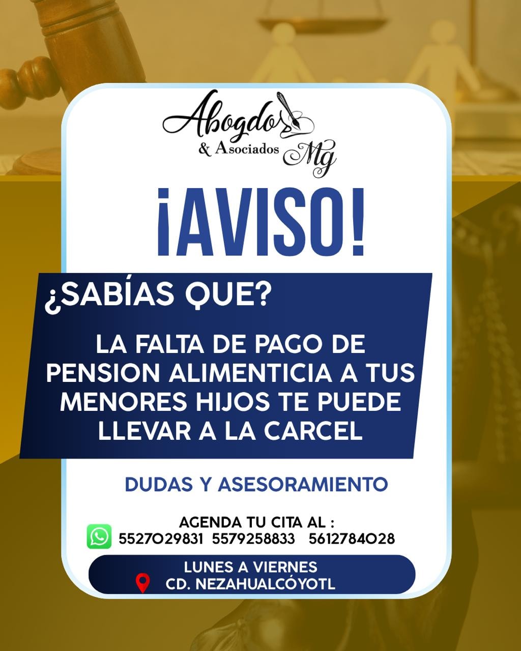 Miniatura de Aviso de Pensión Alimenticia